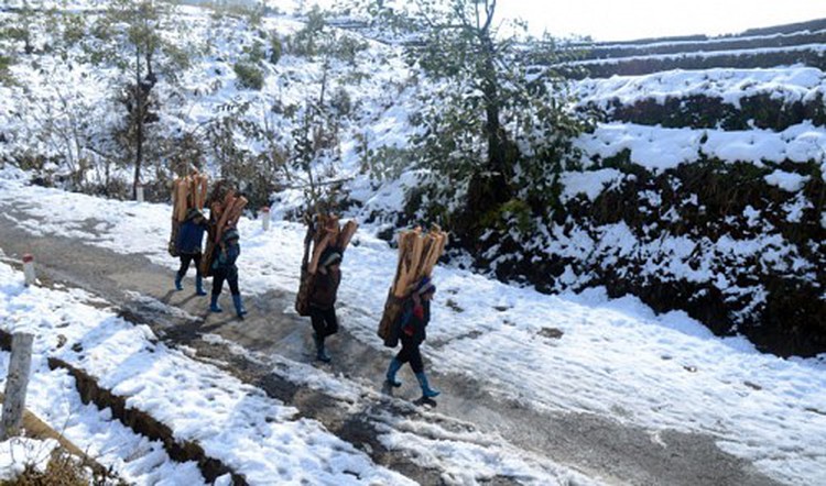 Bitter cold continues in northern Vietnam