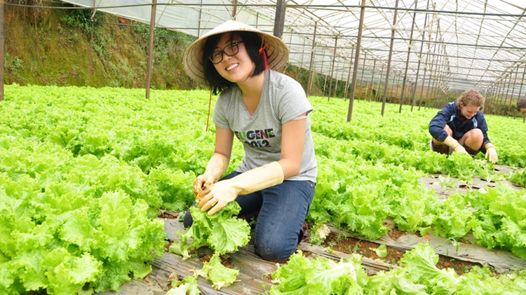 Farming tours appeal to young adventurous tourists
