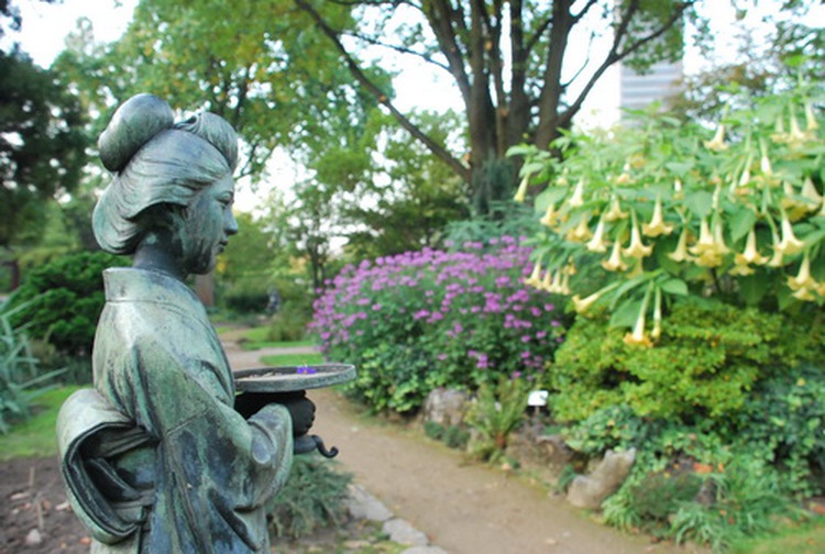 'Japanese garden' opens in HCMC