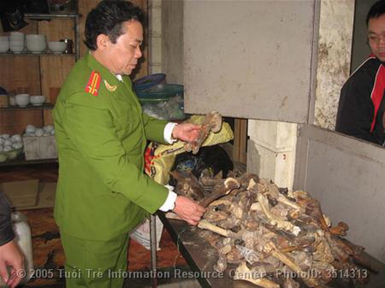 Short film against tiger bone use to be launched