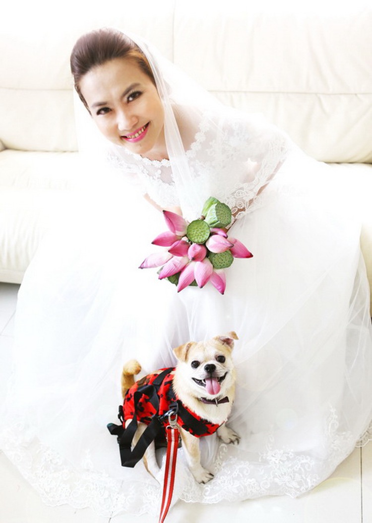 Vietnam couples turn to pets for bridal pictures