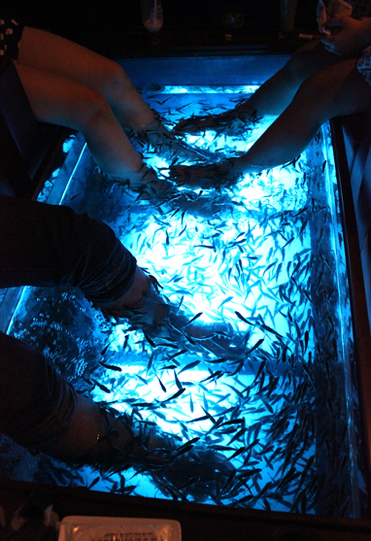 Fish massage: A ‘fishy’ way to unwind in Vietnam
