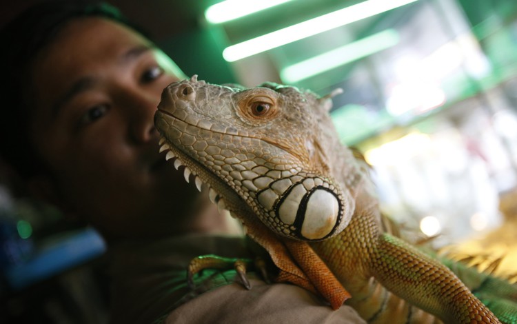 Love pet? Love cafe? Here comes Hanoi's 1st pet cafe