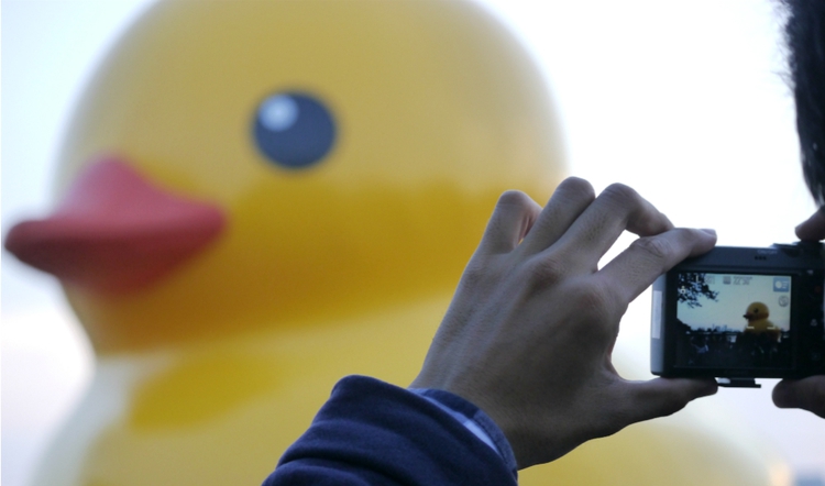 Giant Rubber Duck floats on Saigon lake, lures thousands