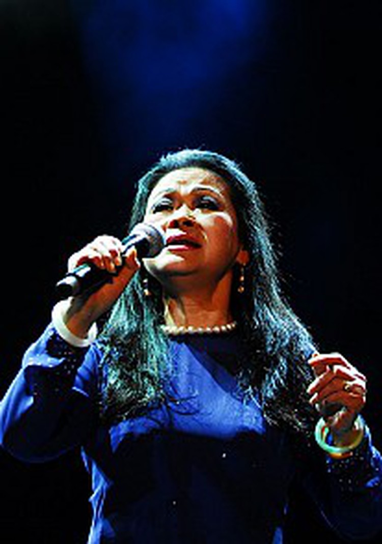 Veteran overseas Vietnamese singer to make 1st comeback next week