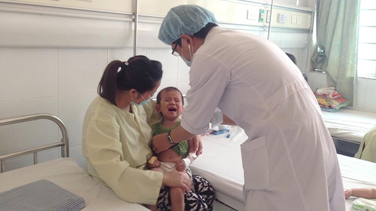 JE spreads in northern Vietnam; HFMD on rise in southern region