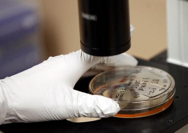 Top journal retracts 'game-changer' stem-cell study