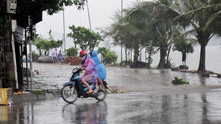 Typhoon Rammasun lashes northern Vietnam