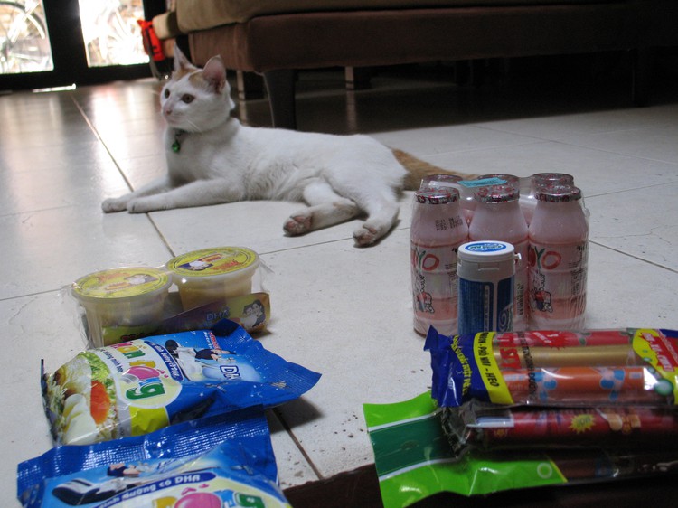 Having a pet in Vietnam