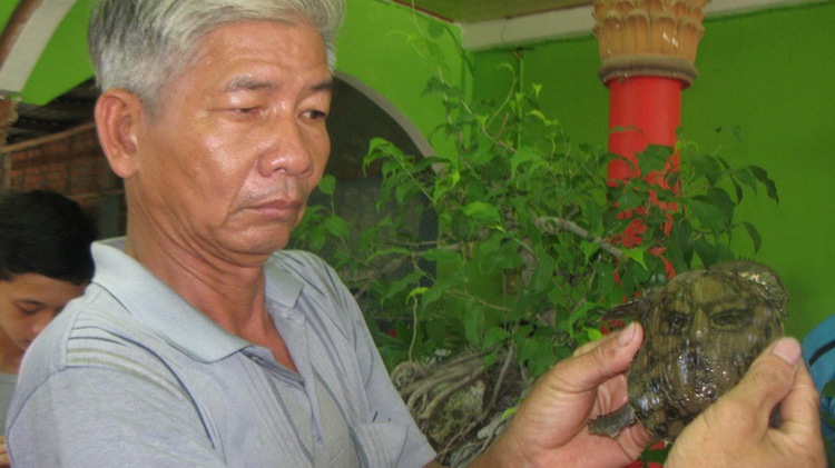 Terrapin with human-face patterns found in central Vietnam