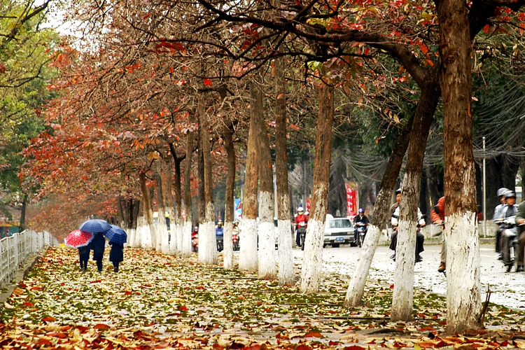 American expat, married to Vietnamese wife, contemplates notion of ‘home’, ‘homesick’