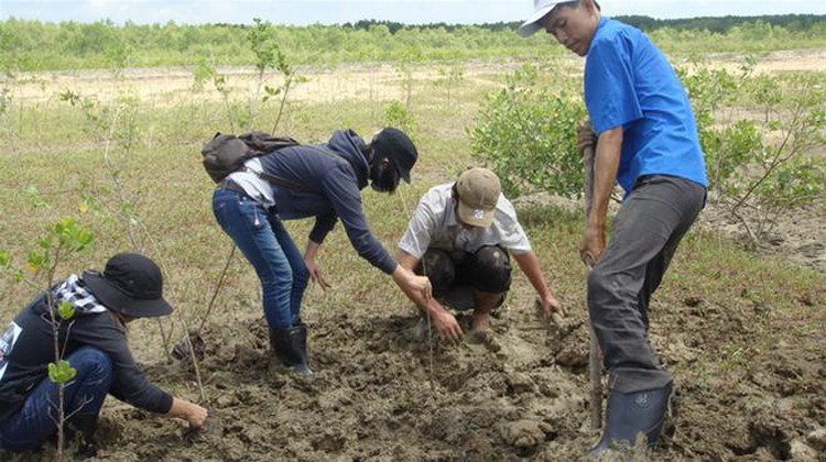 World Bank hails Vietnam leadership in building climate resilience