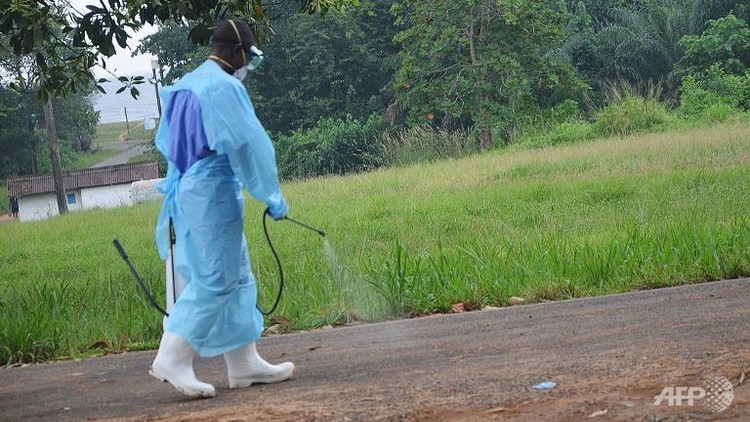 Ebola-hit Liberia fires absentee ministers