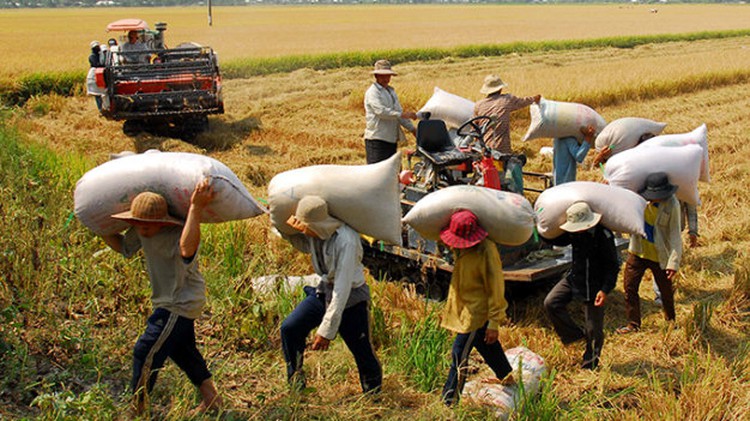 Vietnam suffers trade gap with China; imports to top $40bn by year-end