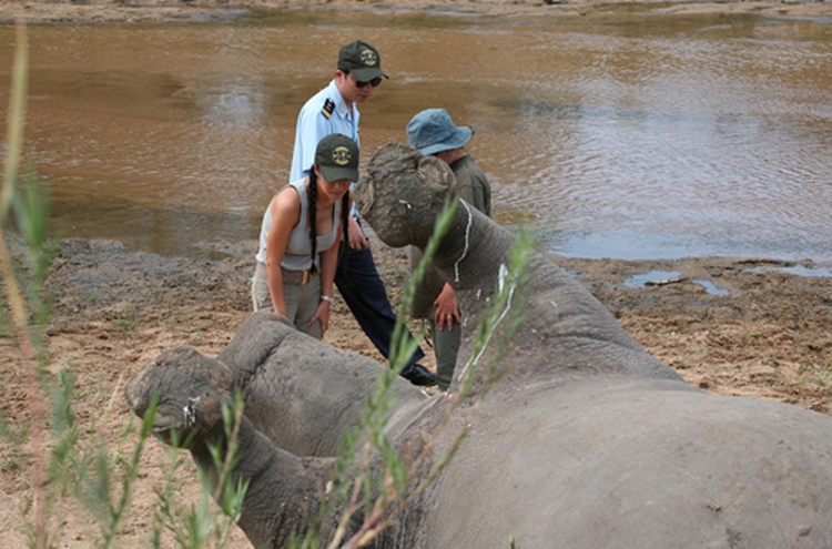 Vietnam diva in South Africa to help protect rhinos