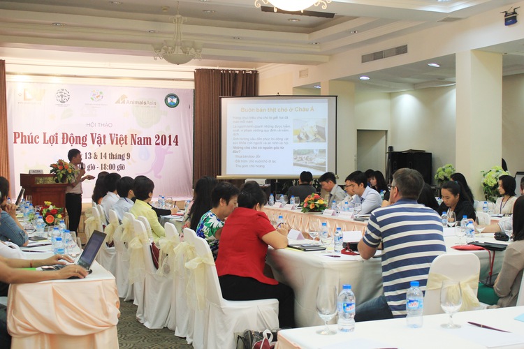 Over 5 million dogs killed annually for meat in Vietnam: canine alliance