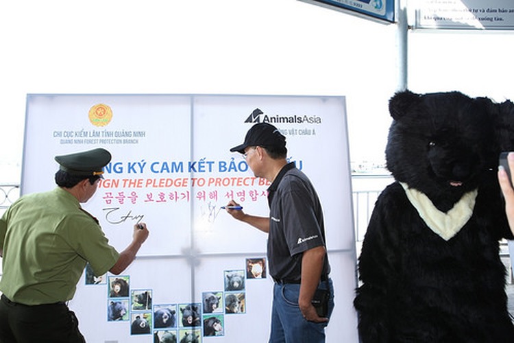 Ha Long Bay officials, tourists campaign against bear bile