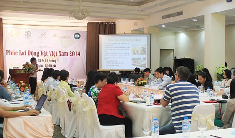 Over 5 million dogs killed annually for meat in Vietnam: canine alliance