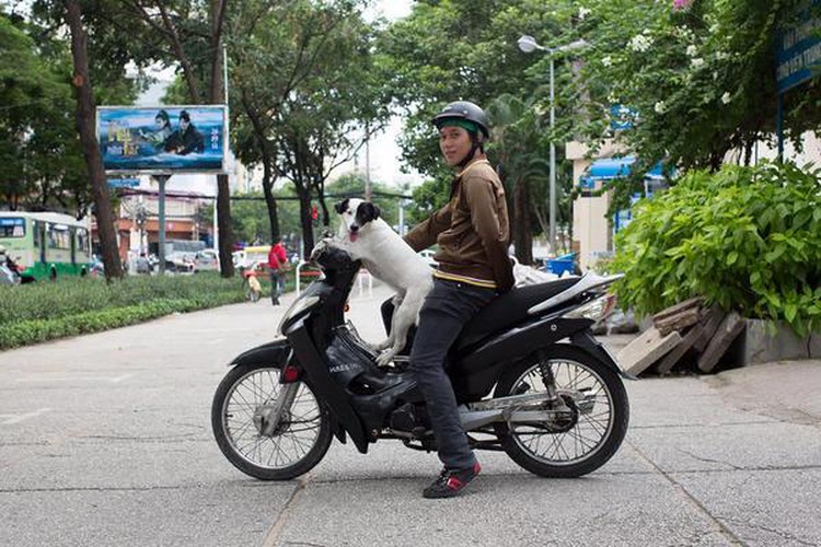 American photographer takes portraits of Vietnamese during world tour