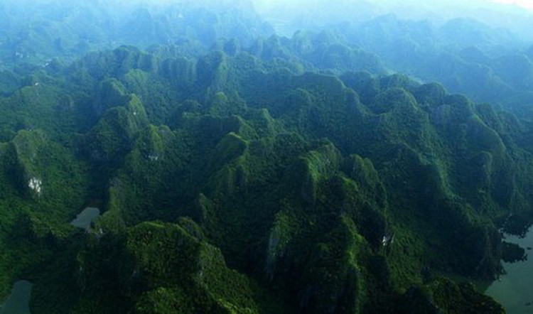 Daily launched tours enthuse busy travelers in Vietnam