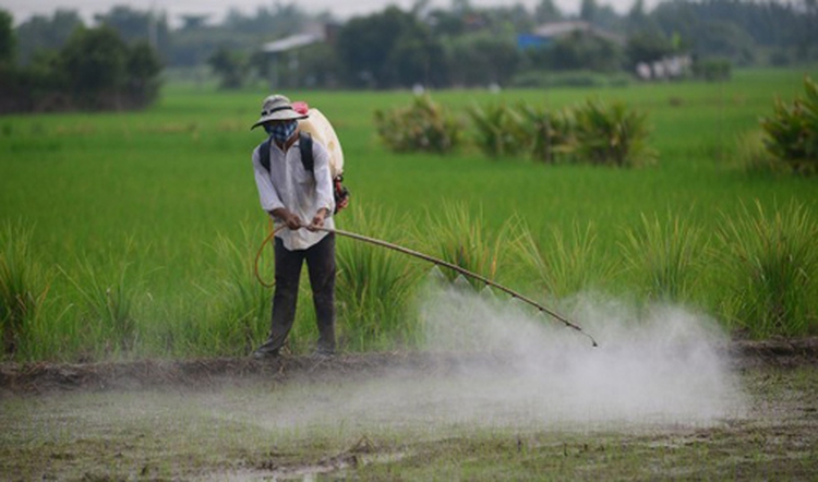 Contaminated soil a major, but ignored, problem in Vietnam