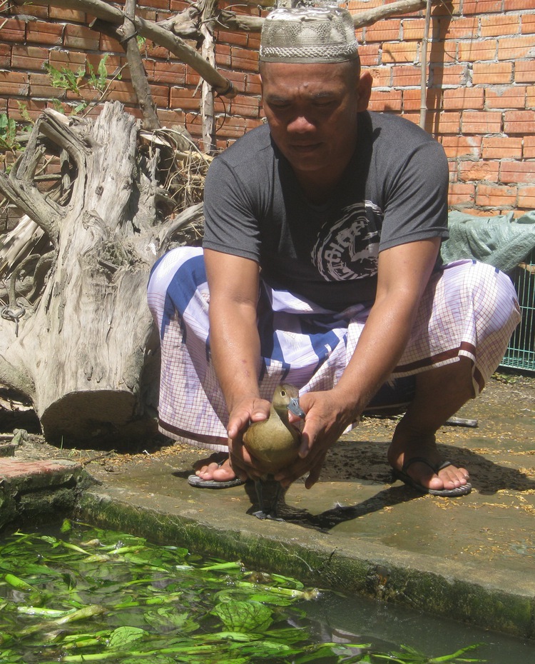 The ethnic breeder of wild birds in southern Vietnam
