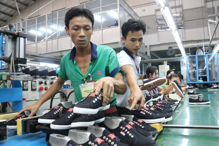 Vietnamese export items facing anti-dumping investigations overseas