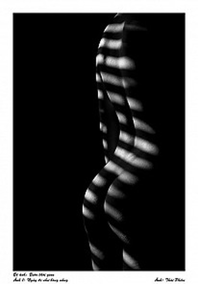 Vietnam photographers’ association honors artist for nude photos