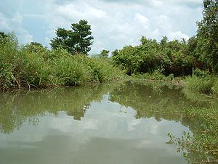 Southern province to spend $500k restoring wetland reserve