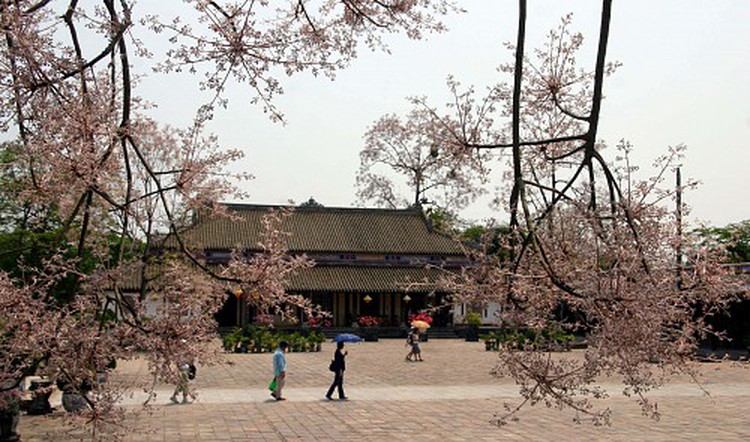 Vietnam to give gifts to 30 millionth visitor to Complex of Hue Monuments