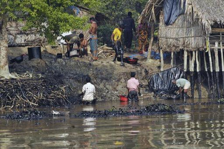 Bangladeshis use sponges to clean oil spill threatening dolphins
