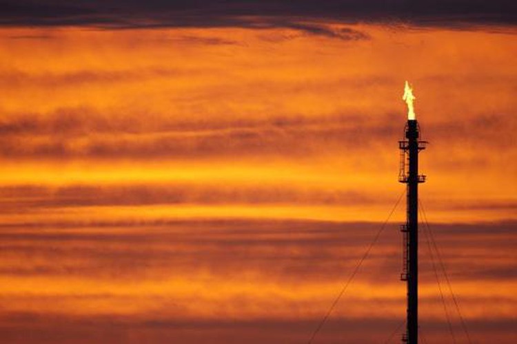 Global oil demand to slow despite price rout