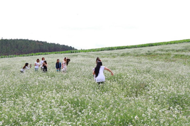 Online attacks rife on Vietnamese social networks