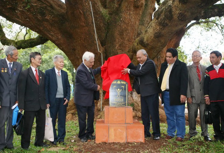 Trees grown by Vietnam’s last king named heritage plants