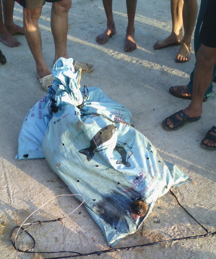 Two suspected dog thieves clubbed to death, again