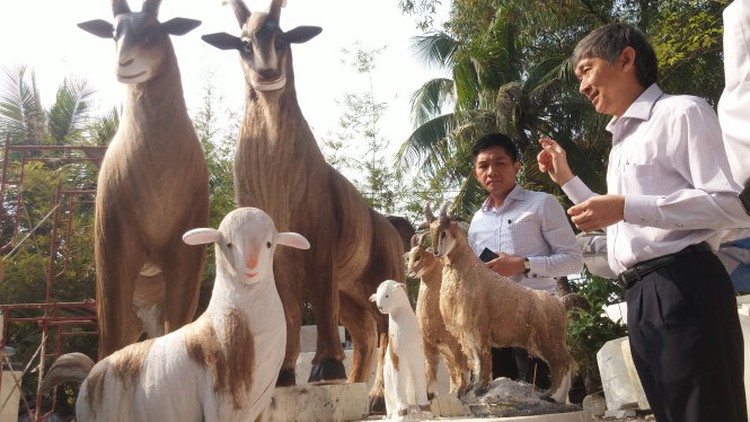 Vietnam tourist attractions open for free, offer diverse activities during Tet