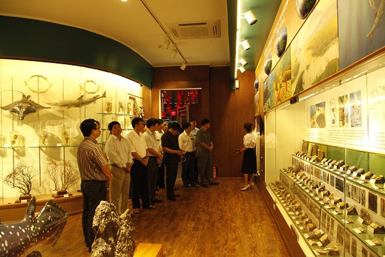 Vietnam to build comprehensive nature museum system