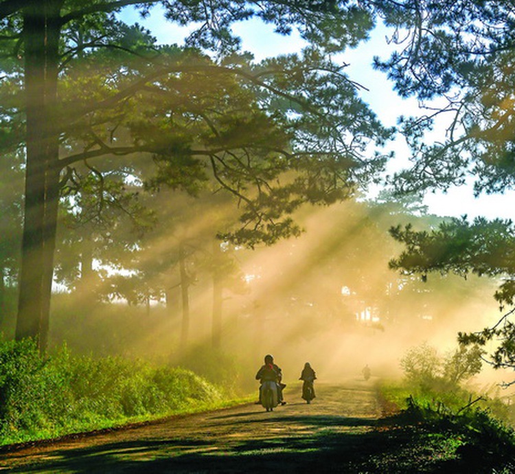 In quest of the time-honored charms in Vietnam's Da Lat