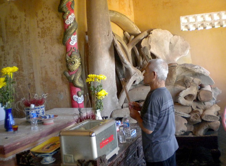 Vietnam’s Quang Binh coast an area of rarities