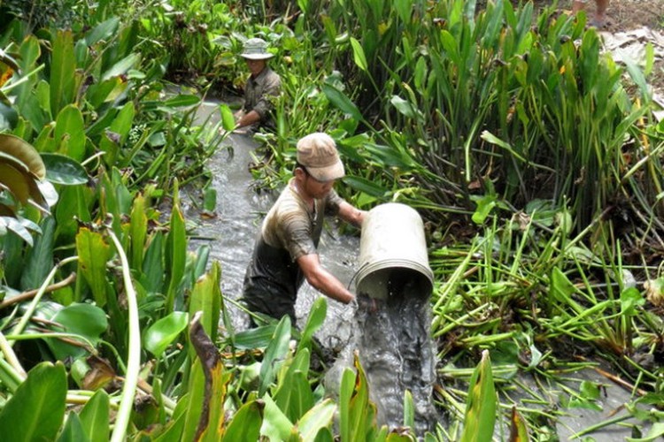 Draining ditches for fish a highlight of Mekong Delta tours