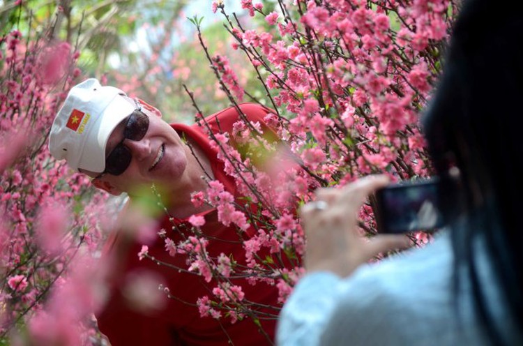 Unbelievable beauty of cherry blossoms in Hanoi (photos)