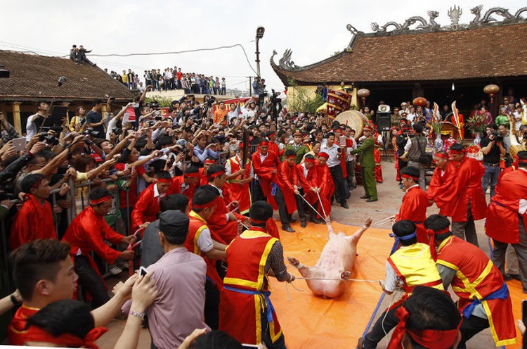 Vietnam province ignores public outcry to enact pig slaughter ritual (pics)