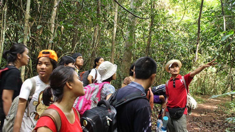 Green life fans shouldn’t miss visiting this tourism site in southern Vietnam