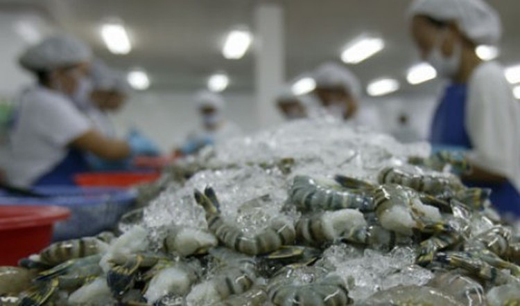 US to cut anti-dumping duties on Vietnamese shrimp