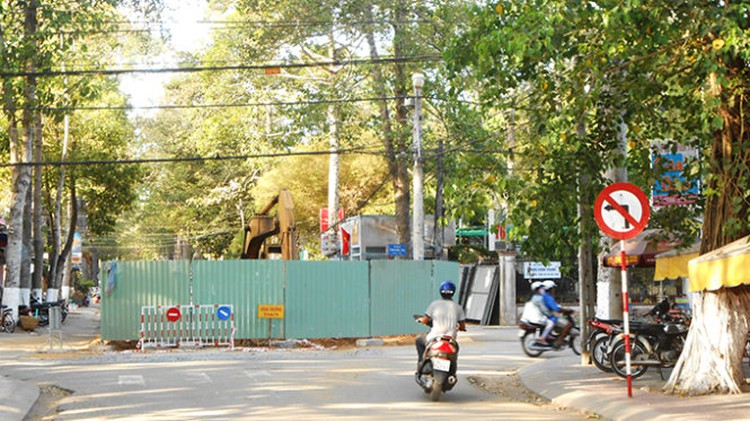 Introducing an evergreen haven for trees in southern Vietnam