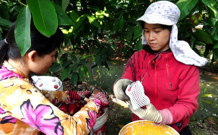 In southern Vietnam, ‘Taiwanese islanders’ now shake head at foreign marriages