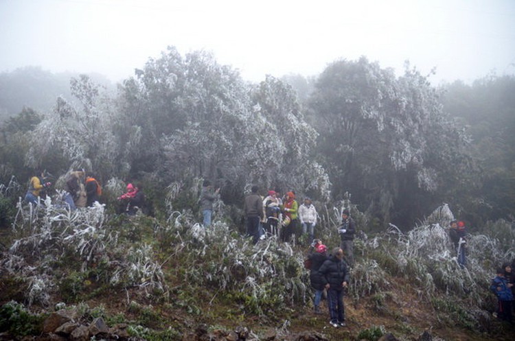 Cold, rainy weather hits tropical Vietnam