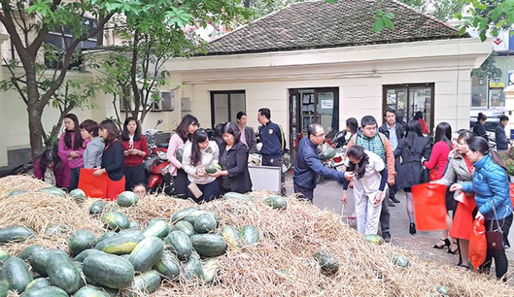 Clearing mounting watermelon stocks in Vietnam: When philanthropy goes against market mechanisms