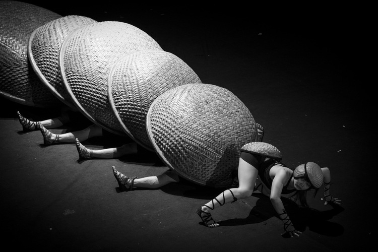Renowned Vietnamese circus play to go on 3-yr European performing tour