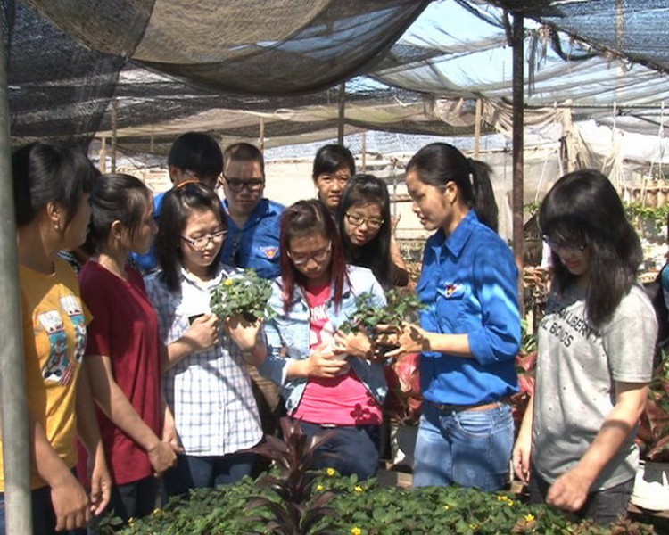 Youths act as free tour guides for foreigners in Vietnam's popular locations